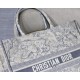 Dior Book Tote Canvas in toile de Jouy