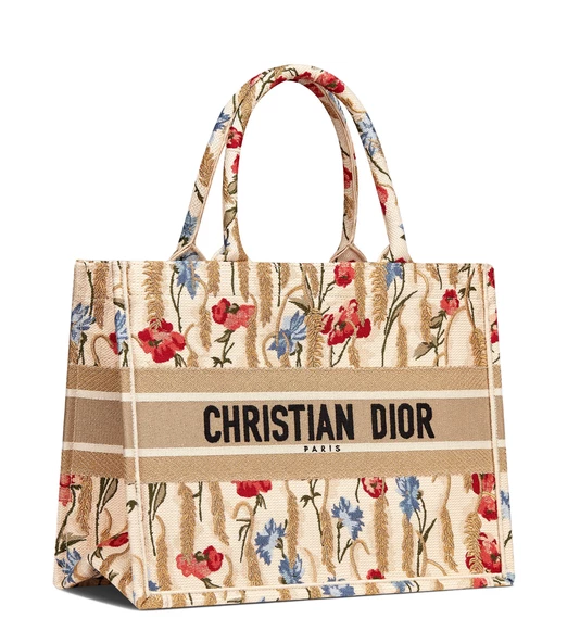 DIOR Small Book Tote